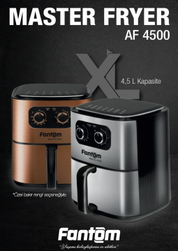 Master Fryer AF 4500
